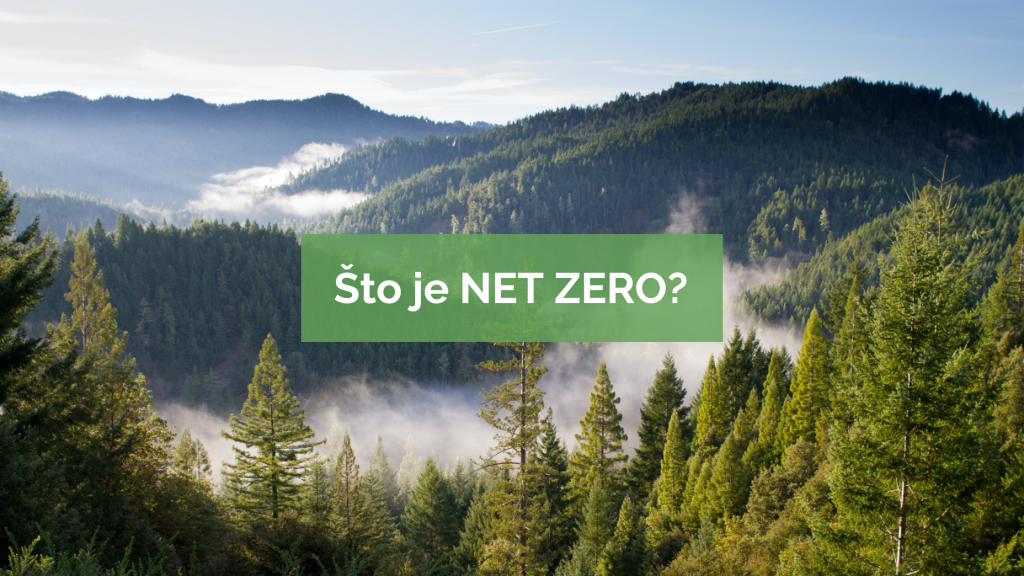 Gusta zelena šuma s maglom koja se diže između brežuljaka u planinskom krajoliku